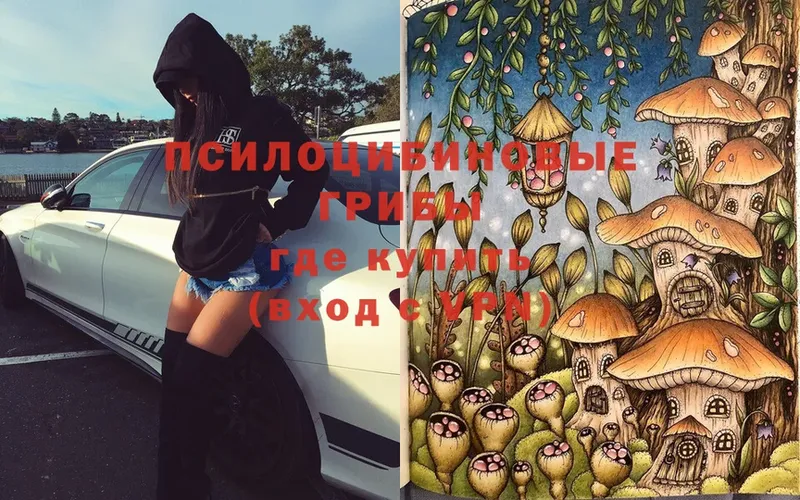 Галлюциногенные грибы Magic Shrooms  Ревда 